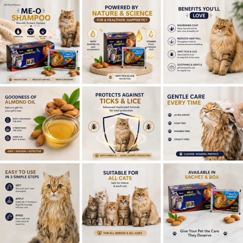 orlay me o medicated cat shampoo value pack – 12 + 1 free sachets for tick & flea protection
