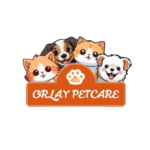 logo removebg preview